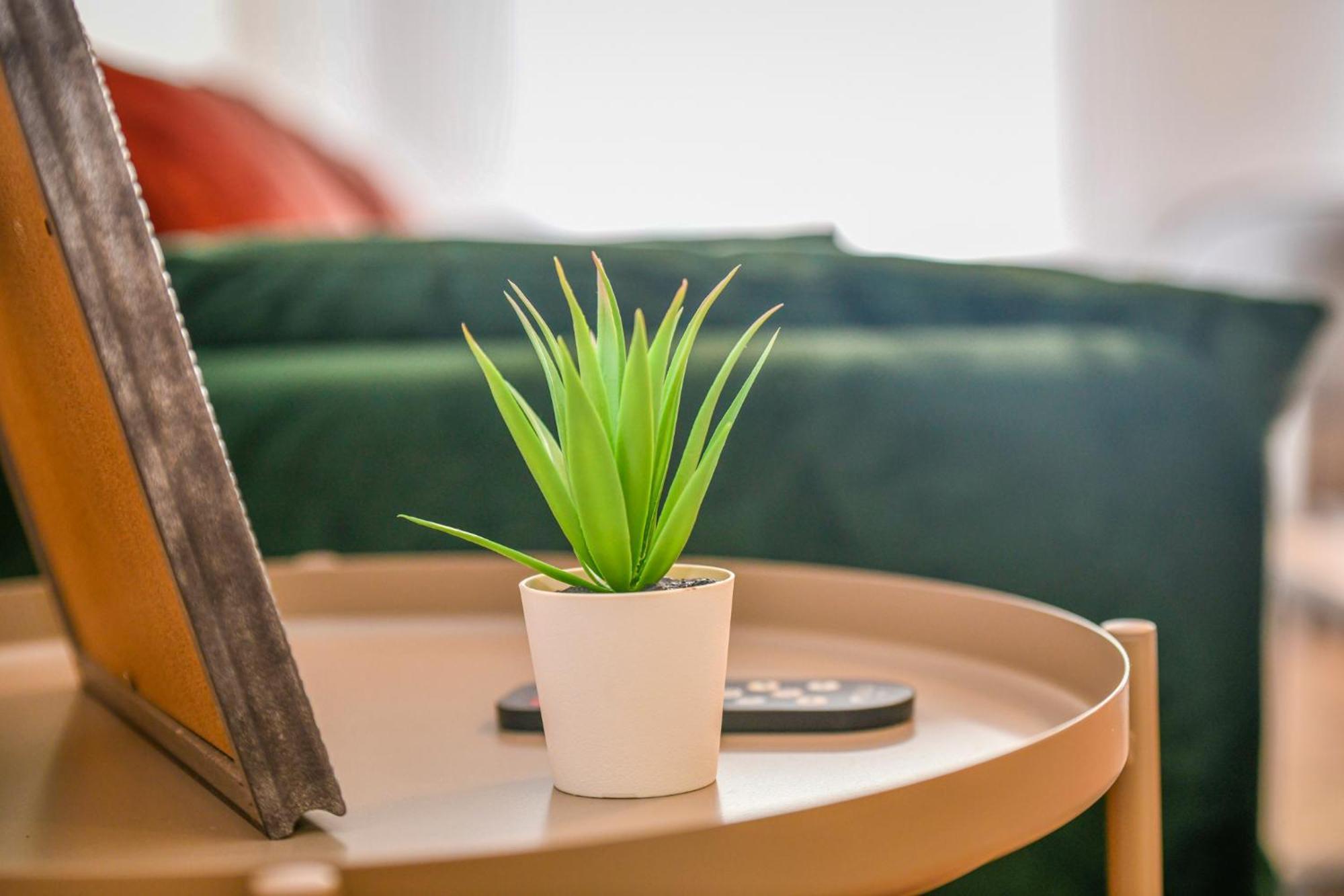 Studio Magda - Fibre Et Tv - Calme Et Confortable แซ็ง-ก็องแต็ง ภายนอก รูปภาพ